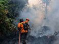 Dua petugas BPBD Kota Palangka Raya berjibaku memadamkan kebakaran hutan dan lahan di kawasan lahan gambut.
