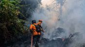 Dua petugas BPBD Kota Palangka Raya berjibaku memadamkan kebakaran hutan dan lahan di kawasan lahan gambut.