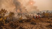 Ilustrasi kondisi musim kemarau ekstrem dengan kabut asap akibat kebakaran hutan dan lahan di Indonesia.