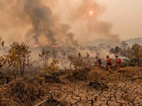 Ilustrasi kondisi musim kemarau ekstrem dengan kabut asap akibat kebakaran hutan dan lahan di Indonesia.