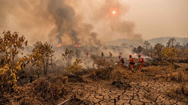 Ilustrasi kondisi musim kemarau ekstrem dengan kabut asap akibat kebakaran hutan dan lahan di Indonesia.