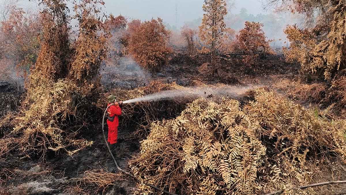 Petugas memadamkan kebakaran di lahan gambut Desa Tumbang Nusa, Kecamatan Jabiren, Kabupaten Pulang Pisau, Kalimantan Tengah.