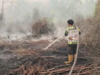 Relawan Damkar Putra Pahandut memadamkan kebakaran di lahan gambut di sekitar Kota Palangka Raya, Kalimantan Tengah.