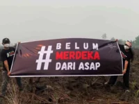 WALHI Kalimantan Tengah membentangkan spanduk kampanye di lahan bekas terbakar yang diduga akibat aktivitas korporasi.
