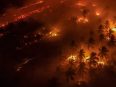 lustrasi kebakaran hutan dan lahan di Kalimantan Tengah di tengah penanganan karhutla oleh tim gabungan.