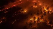 lustrasi kebakaran hutan dan lahan di Kalimantan Tengah di tengah penanganan karhutla oleh tim gabungan.