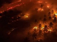 lustrasi kebakaran hutan dan lahan di Kalimantan Tengah di tengah penanganan karhutla oleh tim gabungan.